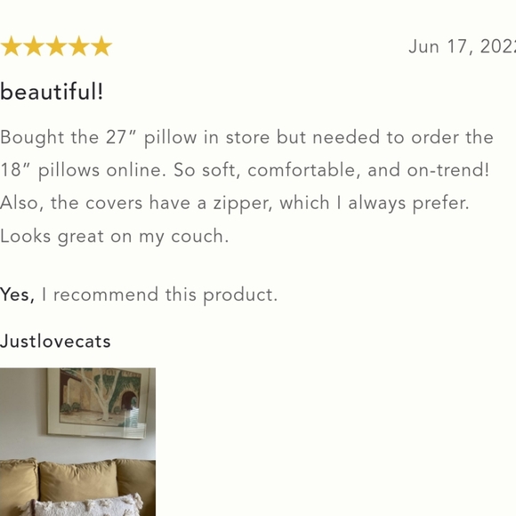 All Roads Textured Primrose Pillow - square - rust & cream - Picture 10 of 12